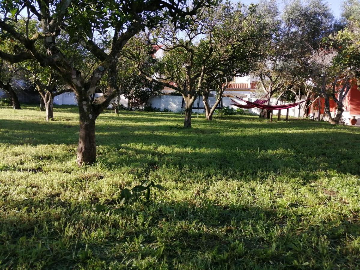 Casa das Laranjeiras e parque infantil Azeitão Exterior foto